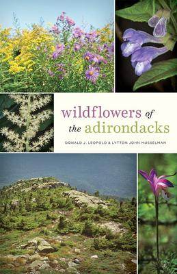 [预订]Wildflowers of the Adirondacks 9781421431109