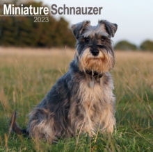 【预订】Schnauzer Miniature 2023 Wall Calendar 9781839417528