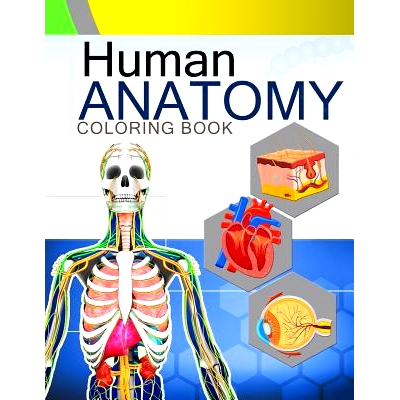 预订 Human Anatomy Coloring Book: Anatomy & Physiology Coloring Book 2nd Edtion: 9781537715704