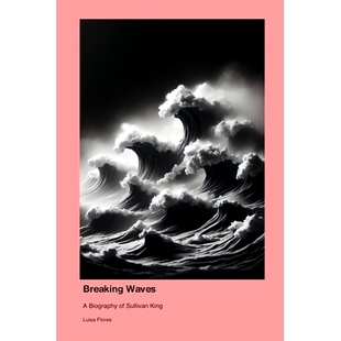 9781779693259 預訂 Waves Sullivan King Breaking Biography