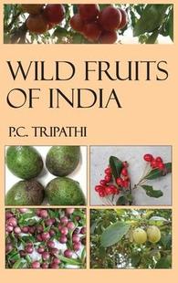 预订 India Wild 9789389130201 Fruits