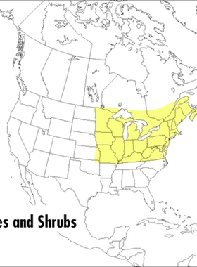 A Field Guide to Trees and Shrubs: Northeastern and North-Central United States and Southeastern and South-Central Cana
