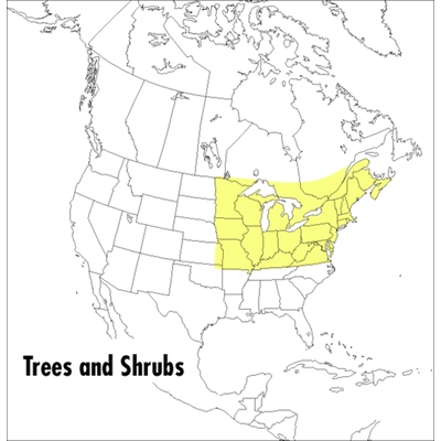 A Field Guide to Trees and Shrubs: Northeastern and North-Central United States and Southeastern and South-Central Cana