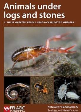 [预订]Animals Under Logs and Stones 9781784274177