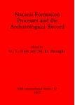 Formation Processes Record 预订 9780860544555 Archaeological Natural the and