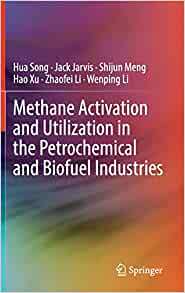 【预订】Methane Activation and Utilization in the Petrochemical and Biofuel Industries 9783030884239