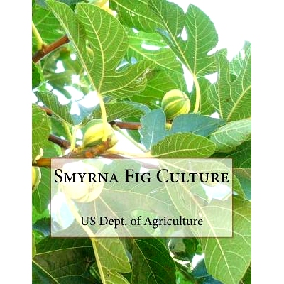预订 Smyrna Fig Culture: 9781985074903