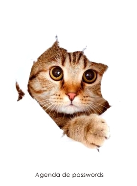 预订 Agenda de Passwords: Agenda Para Enderecos Electronicos E Passwords - Capa Peekaboo: 9781542901437
