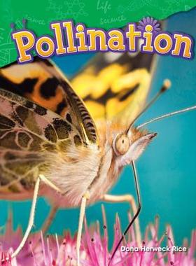 【预订】Pollination