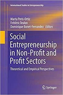 Theoretical Perspectives Entrepreneurship Profit and Non Social Empirical Sectors 预售