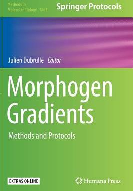【预订】Morphogen Gradients