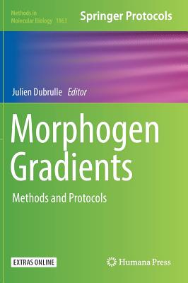 【预订】Morphogen Gradients