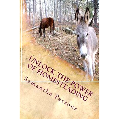 预订 Unlock the Power Of Homesteading: Your Time Is Now: 9781540523402
