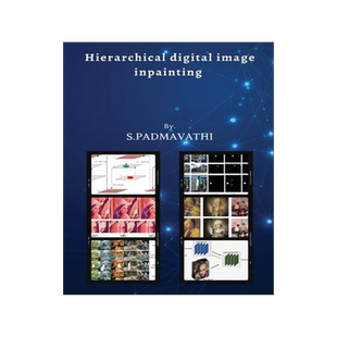 [预订]Hierarchical digital image inpainting 9785546638047