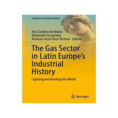 [预订]The Gas Sector in Latin Europe’s Industrial History 9783031366734