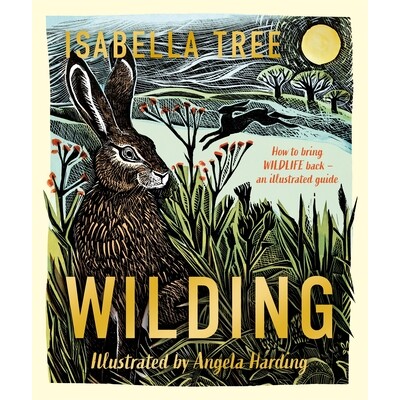 预订 Wilding: How to Bring Wildlife Back - The NEW Illustrated Guide 野化：如何让野生动物回归 - 新图解指南: 978152909284
