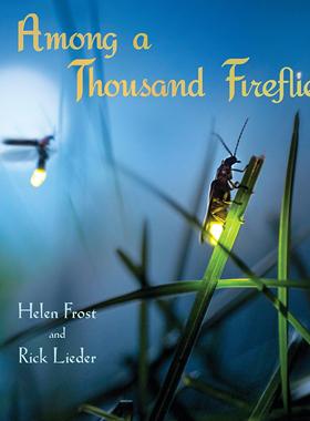 【预售】Among a Thousand Fireflies