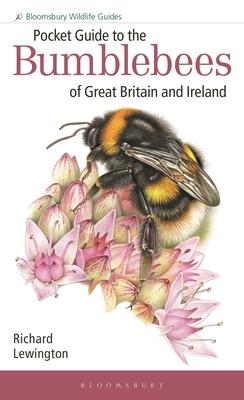 [预订]Pocket Guide to the Bumblebees of Great Britain and Ireland 9781472993595-封面