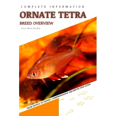 预订 Ornate Tetra: From Novice to Expert. Comprehensive Aquarium Fish Guide: 9798850008895