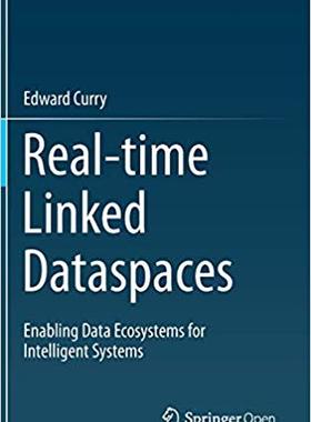 【预售】Real-time Linked Dataspaces