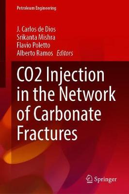 【预订】CO2 Injection in the Network of Carbonate Fractures 书籍/杂志/报纸 原版其它 原图主图