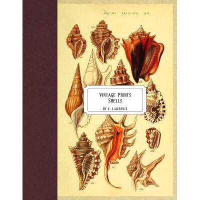 预订 Vintage Prints: Shells: 9781721949328