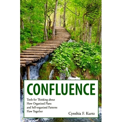 预订 Confluence: Tools for Thinking about How Organized Plans and Self-organized Patterns Flow Together: 9780991369416