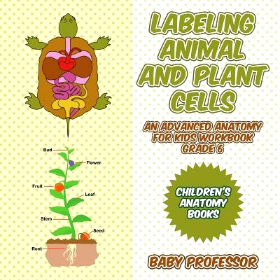 预订 Labeling Animal and Plant Cells - An Advanced Anatomy for Kids Workbook Grade 6 - Children’s Anatomy Books: 978154