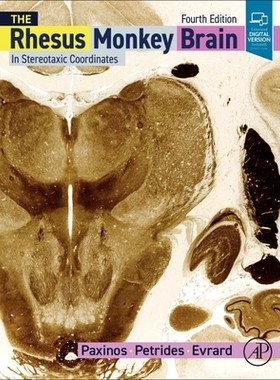 预订 The Rhesus Monkey Brain in Stereotaxic Coordinates