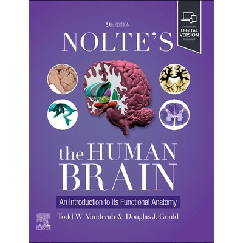Nolte’s The Human Brain An Introduction to its Functional Anatomy 诺尔特的《人脑：功能解剖学简介》 9780443126864