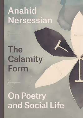 【预订】The Calamity Form 9780226701288