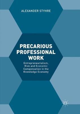 【预订】Precarious Professional Work