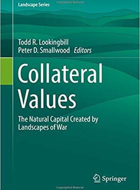 【预订】Collateral Values