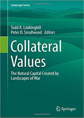 【预订】Collateral Values