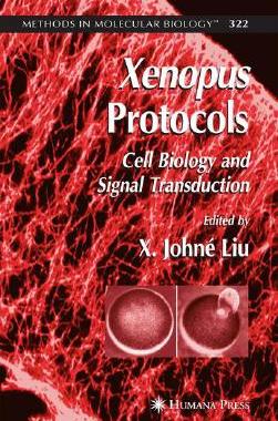 【预订】Xenopus Protocols