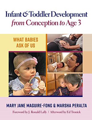 【预售】Infant and Toddler Development from Conception to Age 3