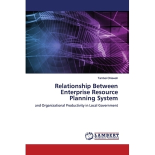 Enterprise 企业 Government Organizational Relationship Between Productivity Planning Resource Local 预订 System and