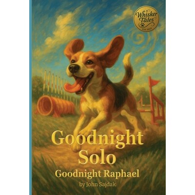 预订 Goodnight Solo / Goodnight Raphael 9798993522326
