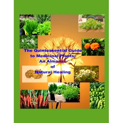 预订 The Quintessential Guide to Medicinal Plants: An Almanac of Natural Healing: Botanical Remedies: 9798857911280