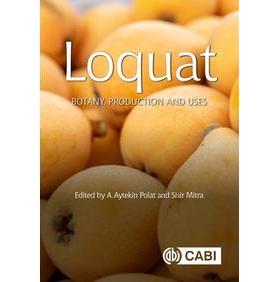 预订 Loquat