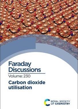 [预订]Carbon Dioxide Utilisation 9781839164026