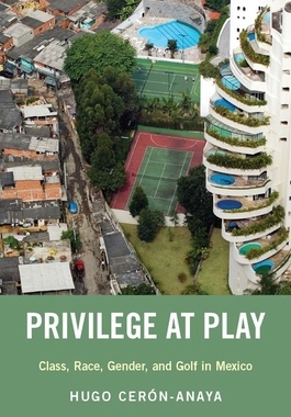 【预订】Privilege at Play