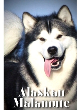 预订 Alaskan Malamute: How to train your dog and raise from puppy correctly: 9798864617328