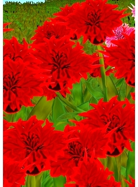 预订 My Week Book: Mijn Week boek- Mon livre de la Semaine- Mein Wochenbuch- Il mio libro della- Settimana- Mi libro de