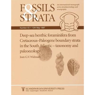 Cretaceous Atlantic Deep Paleogene From Benthic Taxonomy South Boundary And Foraminifera The Sea 预订 Pale Strata