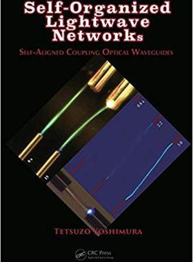 【预售】Self-Organized Lightwave Networks