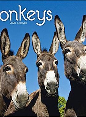 【预售】Donkeys Calendar 2020