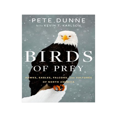 [预订]Birds of Prey: Hawks, Eagles, Falcons, and Vultures of North America 9780544018440