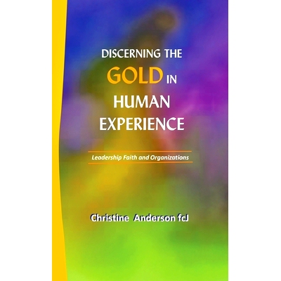 预订 Discerning the Gold in Human Experience: Leadership Faith and Organizations: 9781665585002