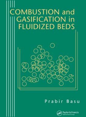 【预售】Combustion and Gasification in Fluidized Beds